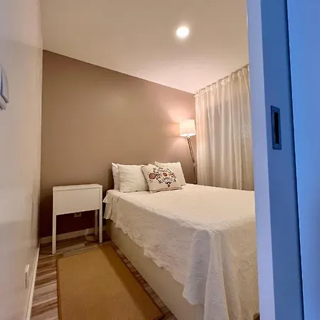 Cozy In Historical Center Apartment Viana do Castelo